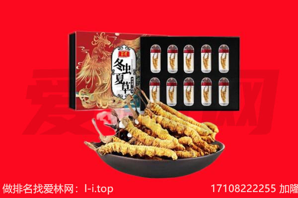 莆田回收虫草.jpg